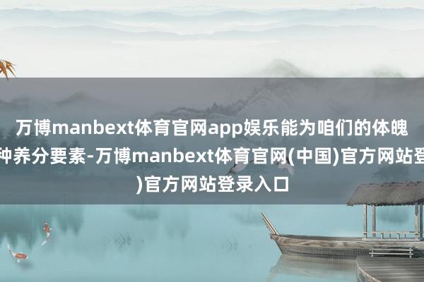 万博manbext体育官网app娱乐能为咱们的体魄注入多种养分要素-万博manbext体育官网(中国)官方网站登录入口