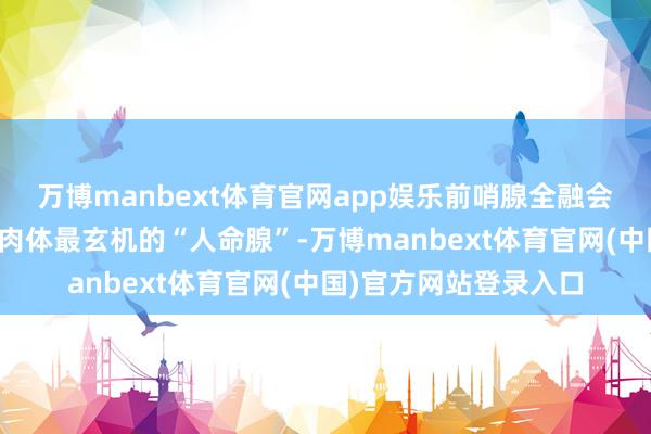 万博manbext体育官网app娱乐前哨腺全融会：一篇读懂男东谈主肉体最玄机的“人命腺”-万博manbext体育官网(中国)官方网站登录入口